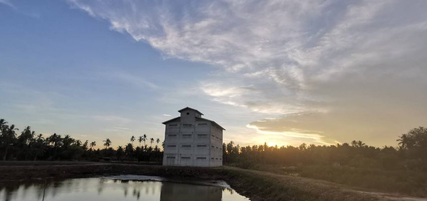 House of bird