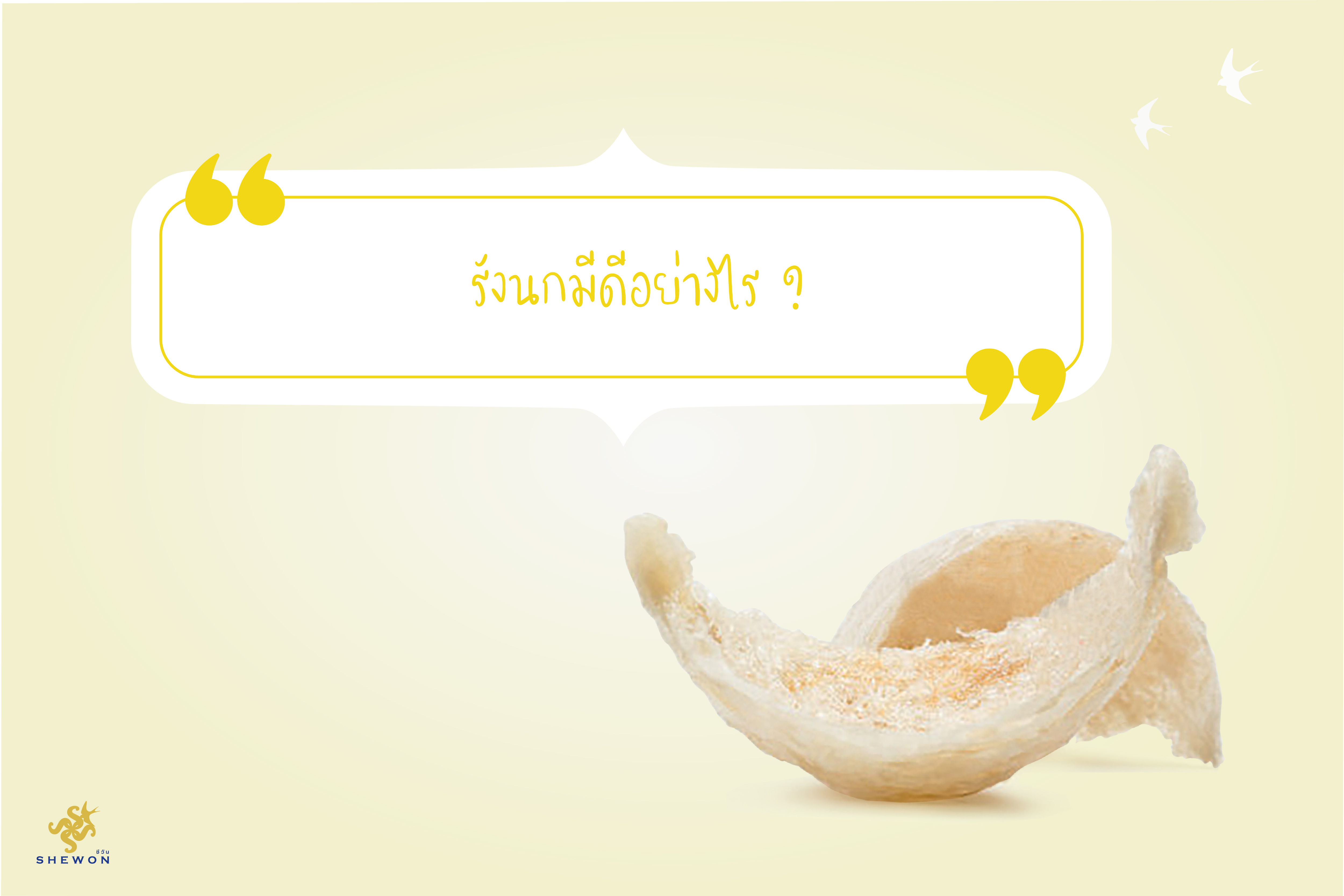 สำรวจบ้านนก