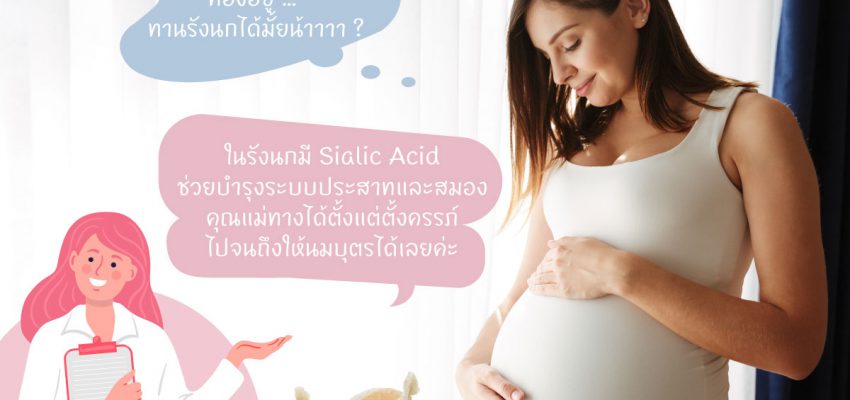 ท้องอยู่ …ทานรังนกได้ไหม ?