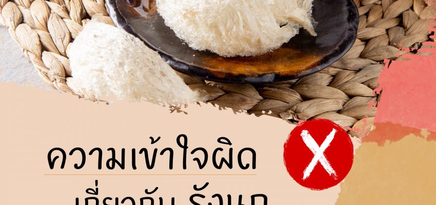 5 ความเข้าใจผิดเกี่ยวกับการบริโภครังนก