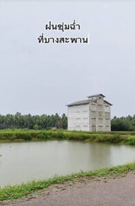 ฝนตกรังนกจะเป็นยังไง