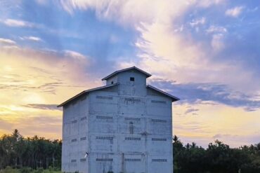 รังนกชงดื่มแพคเกจ “ของรับไหว้”