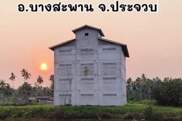 รังนกแท้คุณภาพดี แตกต่างยังไง?