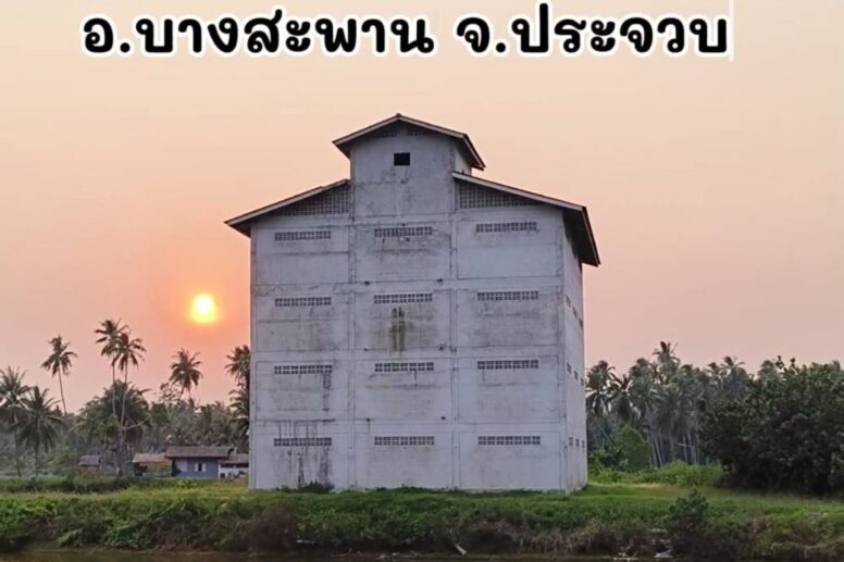 วัตถุดิบจากธรรมชาติ ที่อ.บางสะพาน จ.ประจวบ