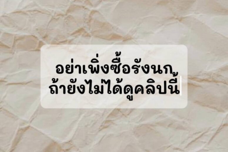 อย่าเพิ่งซื้อรังนกถ้ายังไม่ได้ดูคลิปนี้