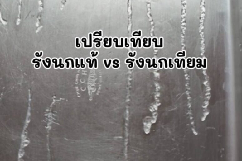 รังนกแท้ vs รังนกเทียม